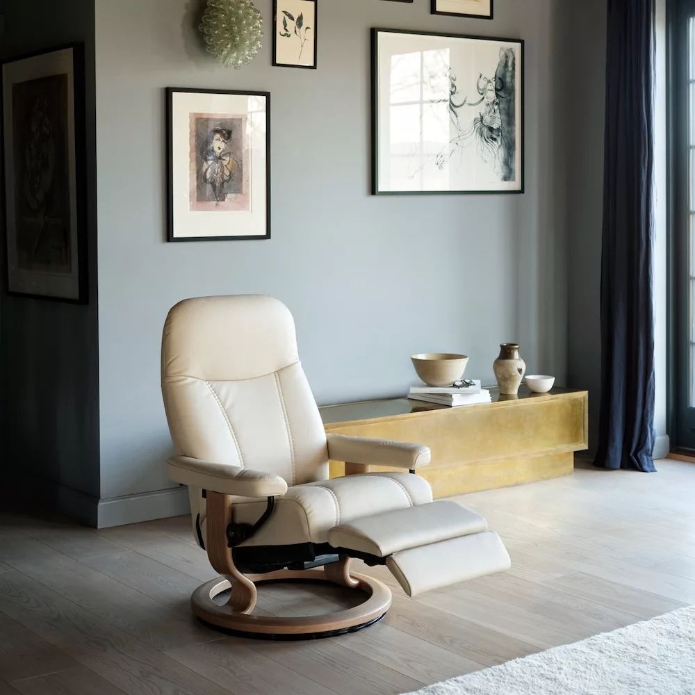 Een selectie van onze elektrische relaxen 6